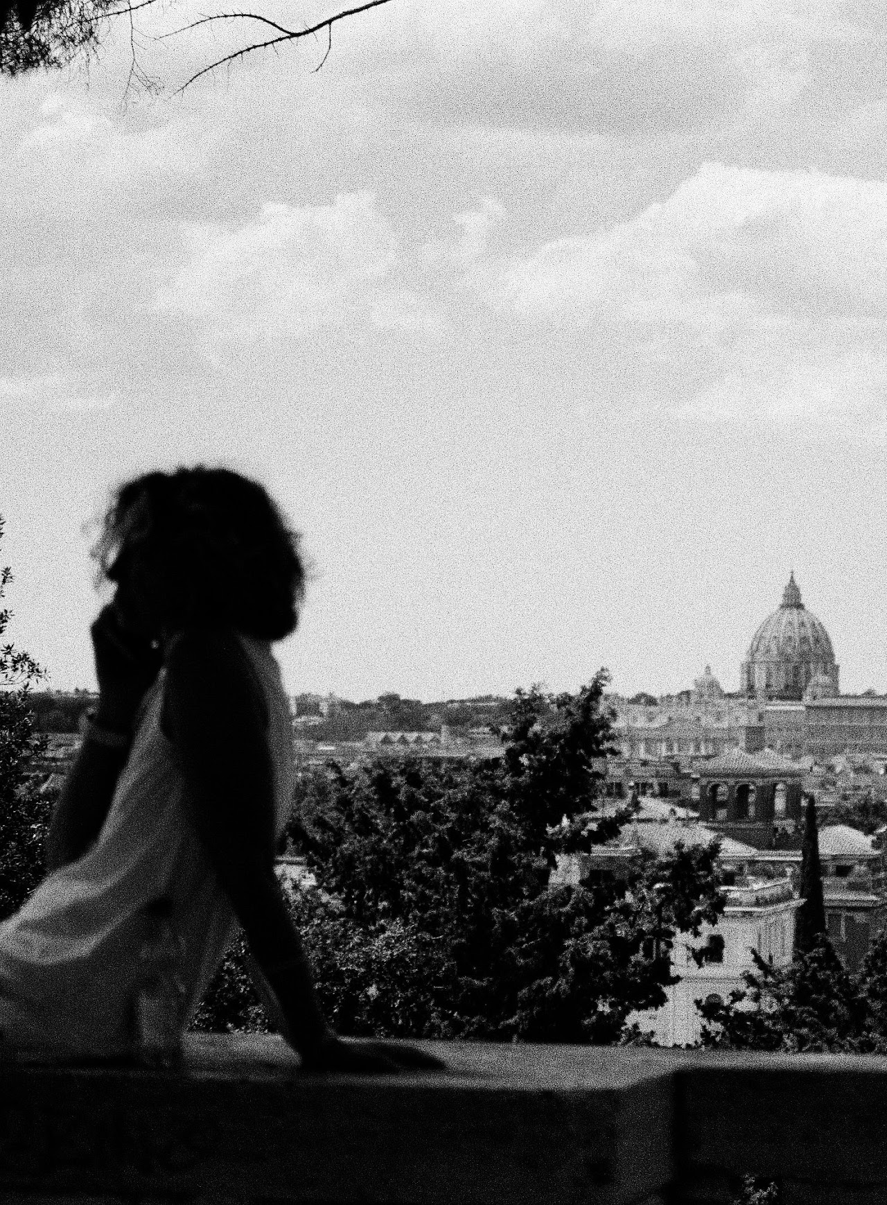 View of St. Peter's from the Pincian Hill, Rome, 2020